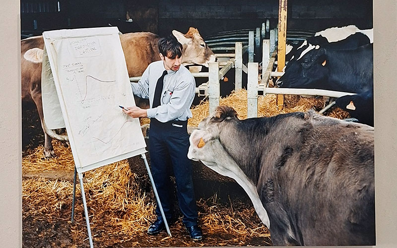 Blick in die Ausstellung