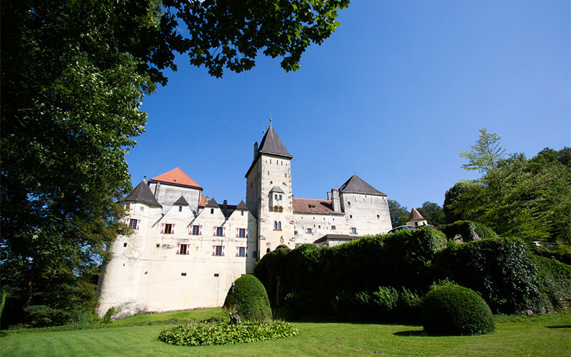 Burg Feistritz (Foto © Stephan Polzer)