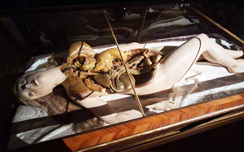 Blick in die Ausstellung