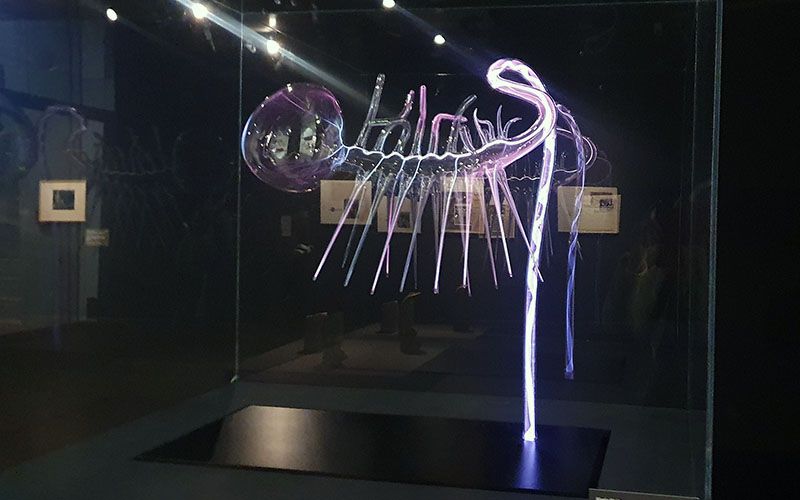 Faszinierend - die Hallucigenia von Martin Walde