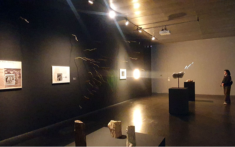 The World Without Us