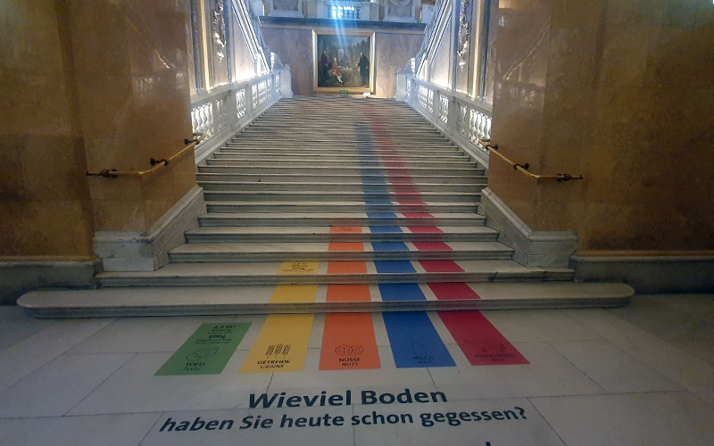 Einige Fragen stellen sich gleich bei der Feststiege