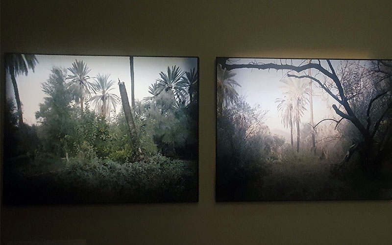 Food Forest - eine Alternative