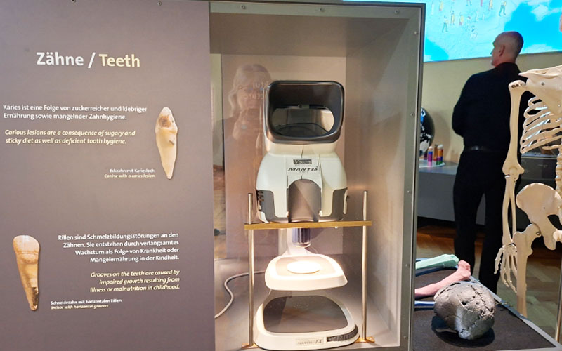 GENchangers: Die neue Sonderausstellung im NHM