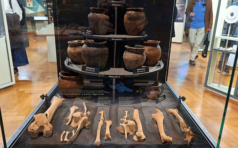 Blick in die Ausstellung