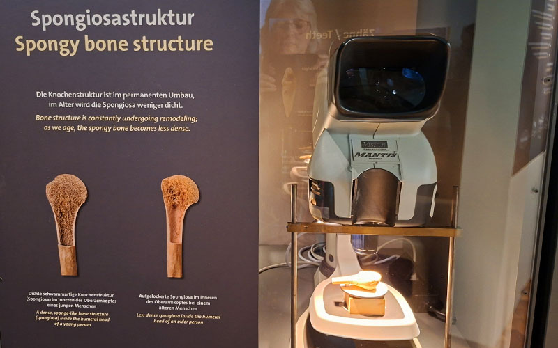 Blick in die Ausstellung