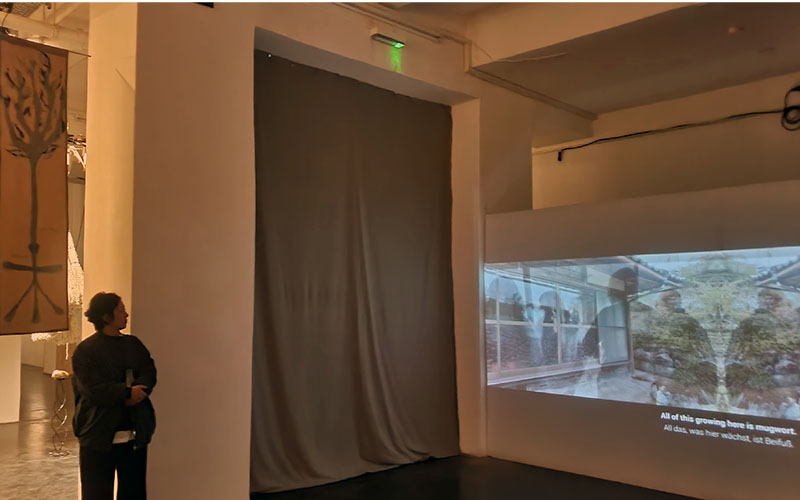 Cosmic Home, Cosmic Land von Amo