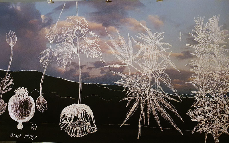 claudia sandoval romero