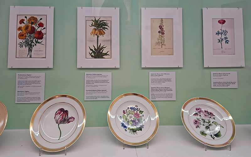 Blick in die Ausstellung