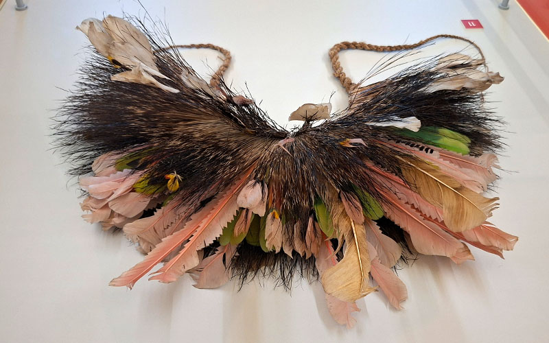 Ishír: Lebendige Erinnerung aus Paraguay im Weltmuseum Wien