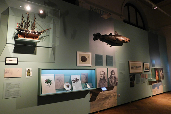 Früher gab es sogar ein eigenes Brasilien-Museum in Wien