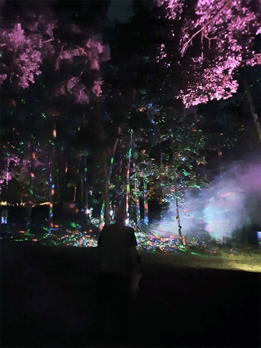 Blockheide Leuchtet 123