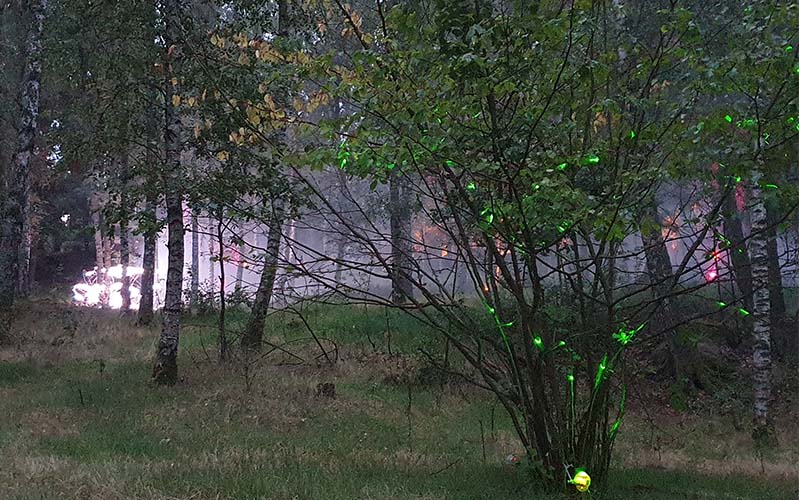 Blockheide Leuchtet12
