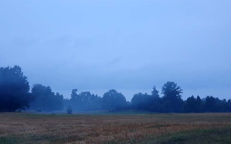 Blockheide Leuchtet17