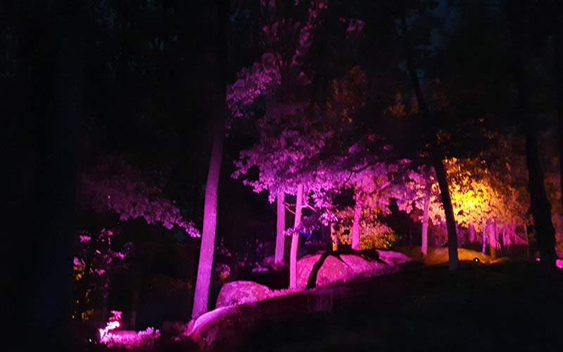 Blockheide Leuchtet27