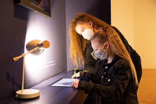 Mehr erfahren im Egon Schiele Museum (Foto © Daniel Hinterramskogler)