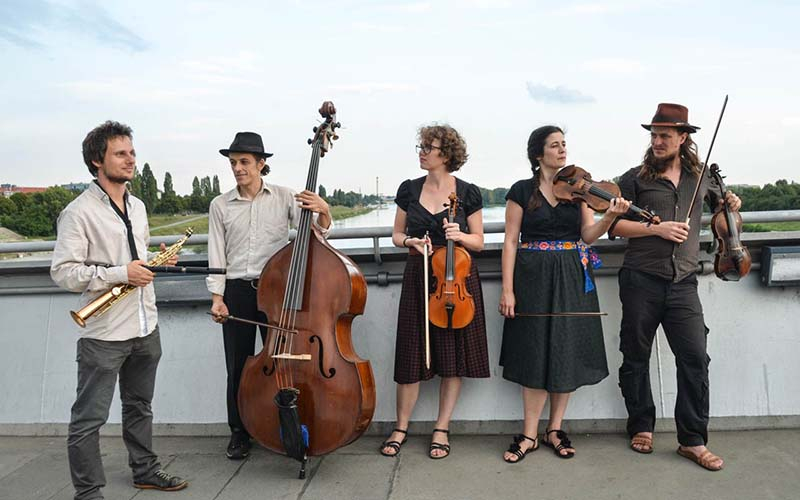 Tanzhausgeiger (Foto © Anna Zehetgruber)