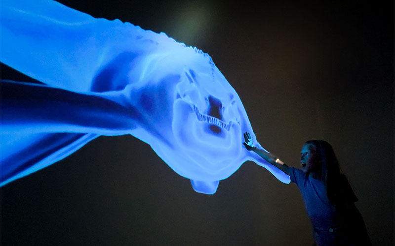 Jurassic Holo Walk (Foto © Immersium Wien)