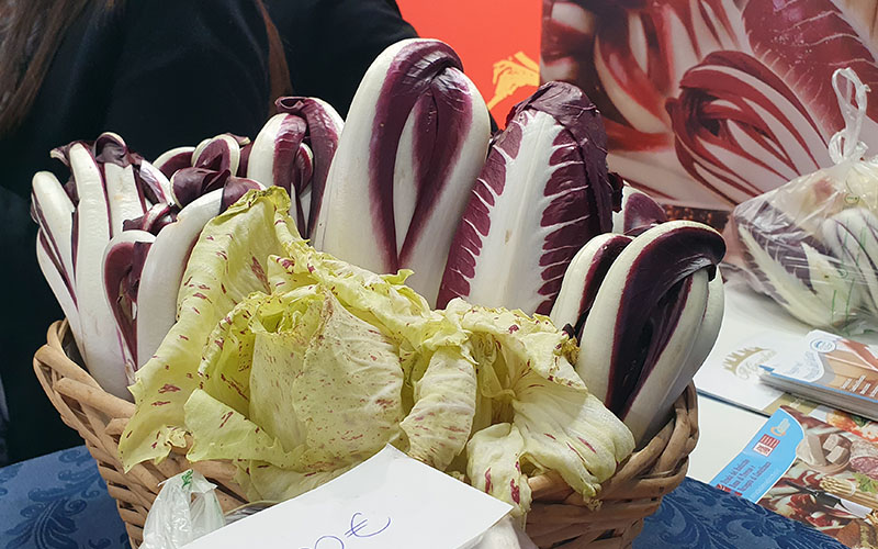 Der Radiccio steht kulinarisch hoch im Kurs