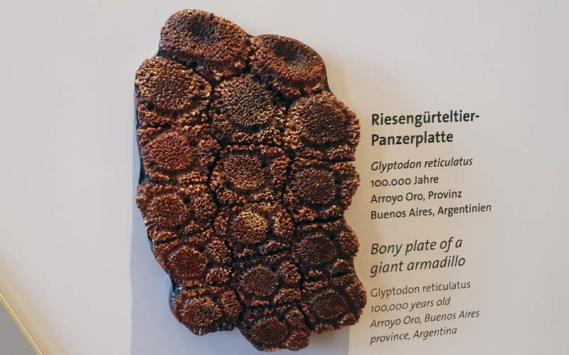 Streicheln erlaubt