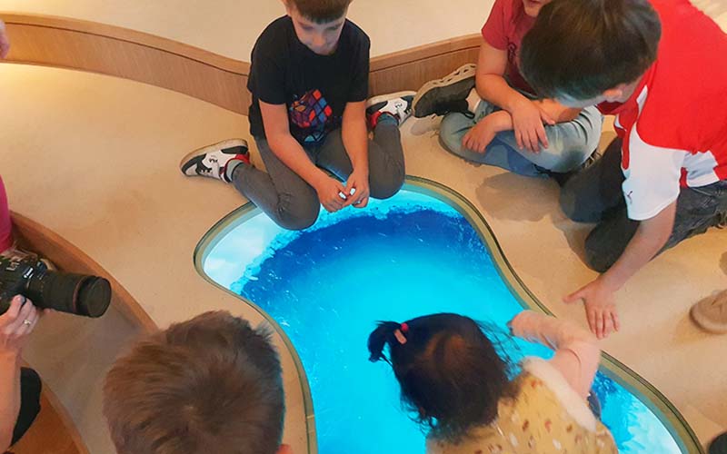 Fische schwimmen im Eisloch