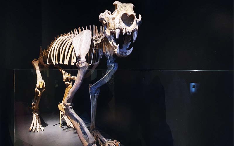 In der Höhle war es ein bisschen gruselig. Vielleicht wegen ihm?