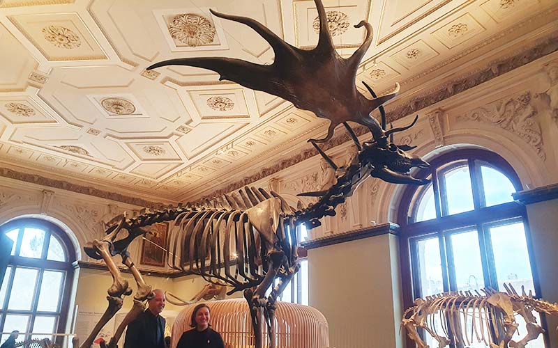 Der Riesenhirsch begrüßt die Besucher