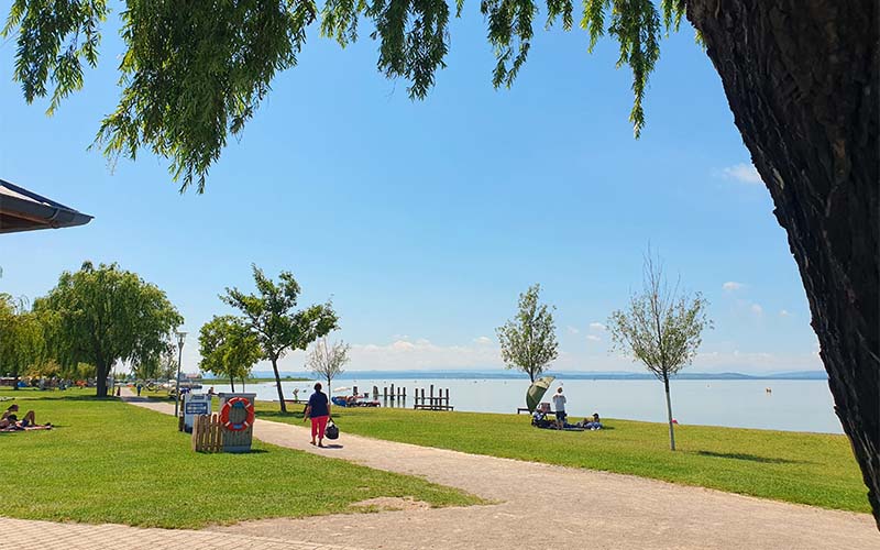 Blick zum See