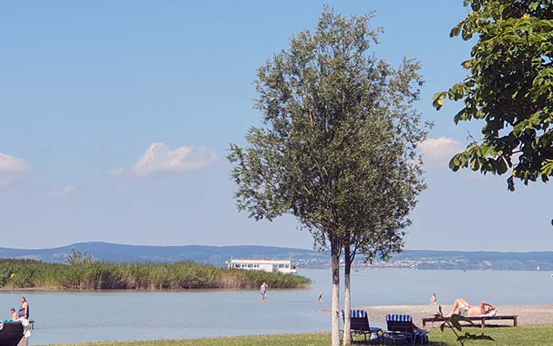Blick zum See