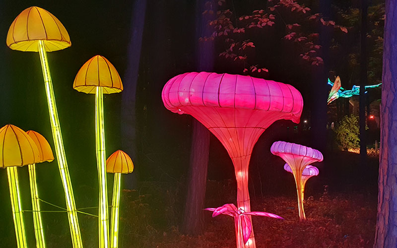 Styrassic Park Lichtshow22