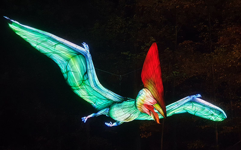 Der Flugsaurier über unseren Köpfen