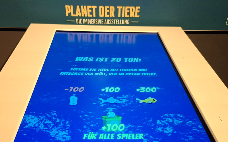 Auch diesen Kleinen kann man mit Fischen füttern