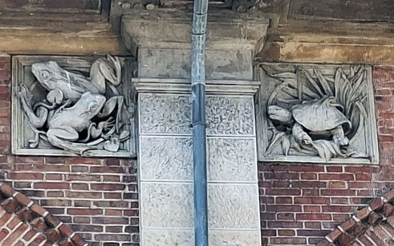 Aquarium Triest Detail