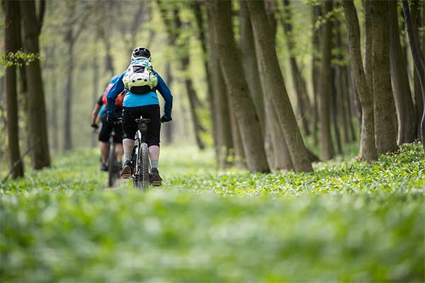 Mountain Biken im Wienerwald (Foto © Trailcenter Hohe Wand Wiese, Markus Frühmann)