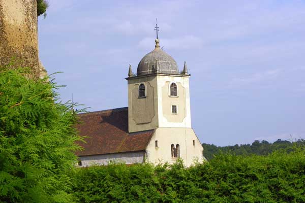Blick von der Burg auf die Gertrudkirche