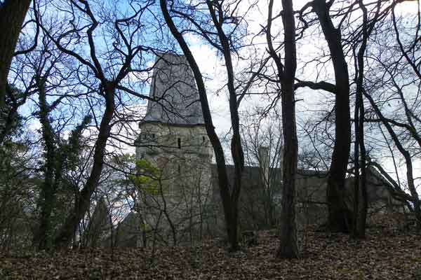 Schloss Maissau