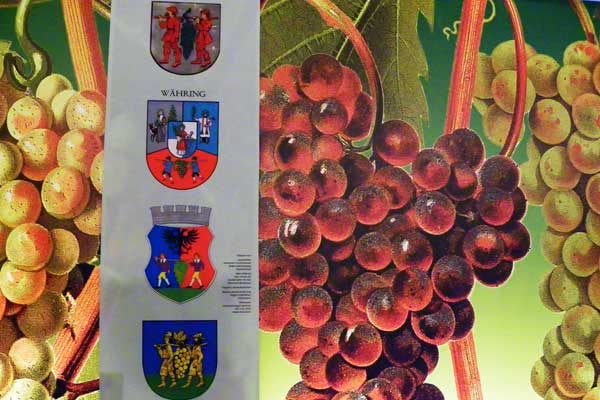 Ein Ort des Weines - Poysdorf