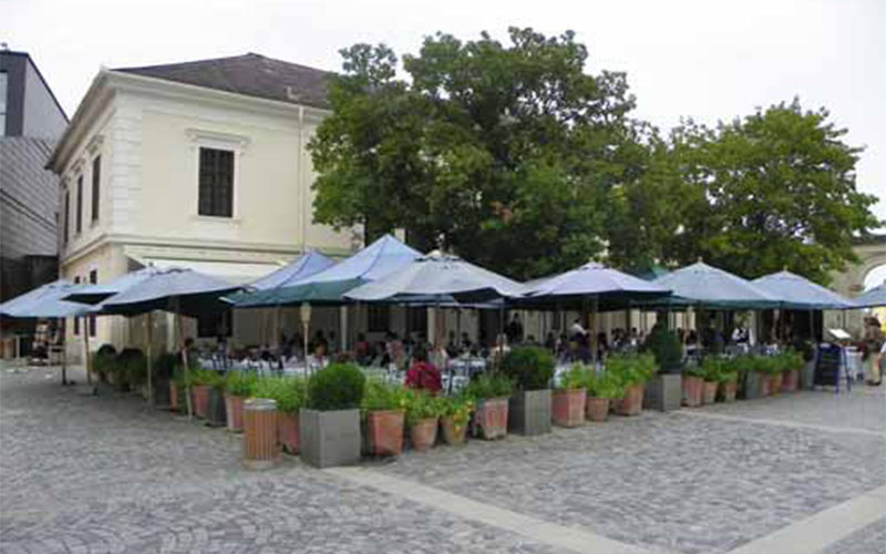 Hier kann man vor dem Konzert ein Gläschen niederösterreichischen Wein genießen