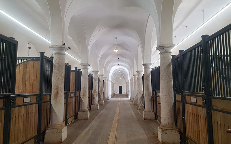 Blick in die Stallungen