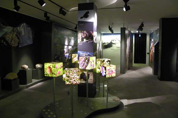 Ausstellung im Tourismusbüro Bled
