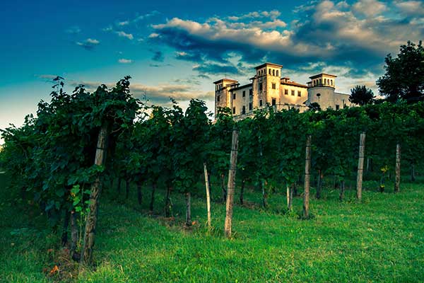 Schloss Dobrovo (Foto © Jure Batagelj)