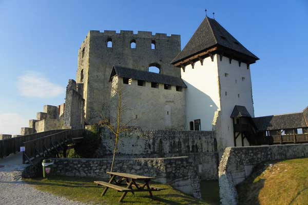 Burg Celje