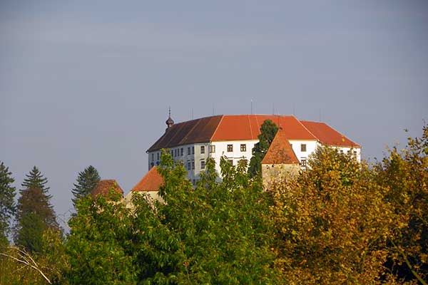 Blick auf das Schloss Ptuj