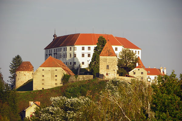 Das Ptujer Schloss