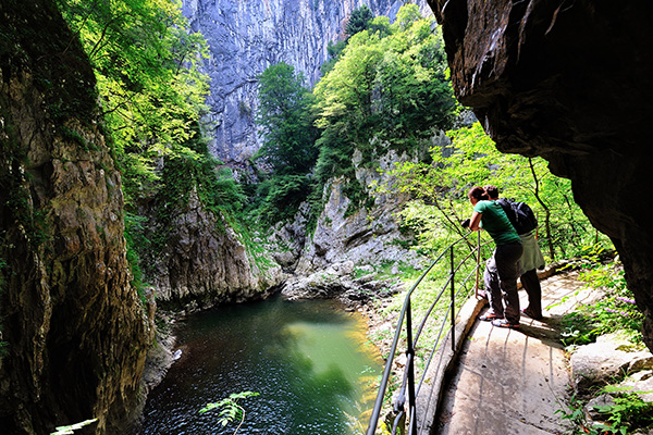 Blick in die Doline (Foto: Škocjan Cave Park PŠJ, Borut Lozej)