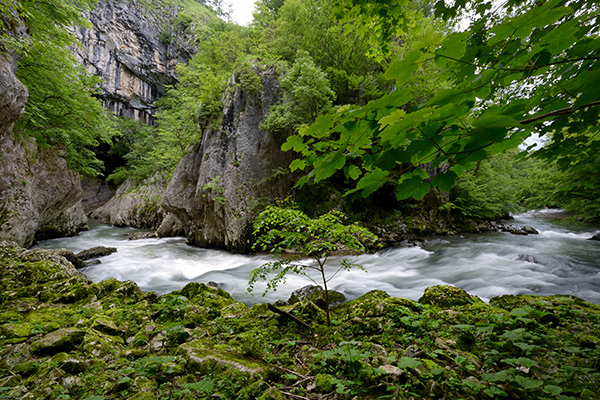 Die Reka (Foto: Škocjan Cave Park PŠJ, Borut Lozej)