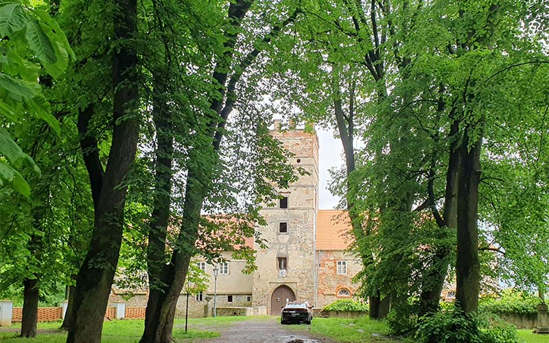 Der Schlossturm blitzt durch die Bäume