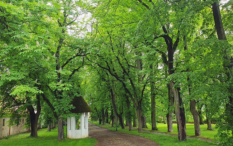 Das Salettl im Schlosspark