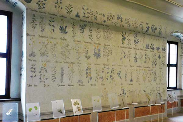 Ein Highlight der Ausstellung - der botanische Saal 