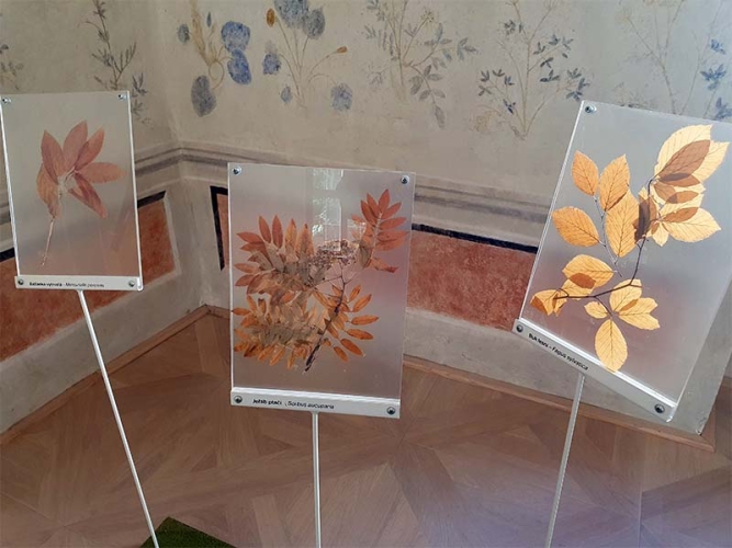 In der Ausstellung Burg Rostejn